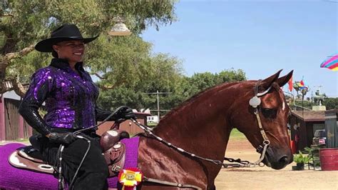 riding shemale compilation|RIDING COMPILATION @ Tranny Clips .